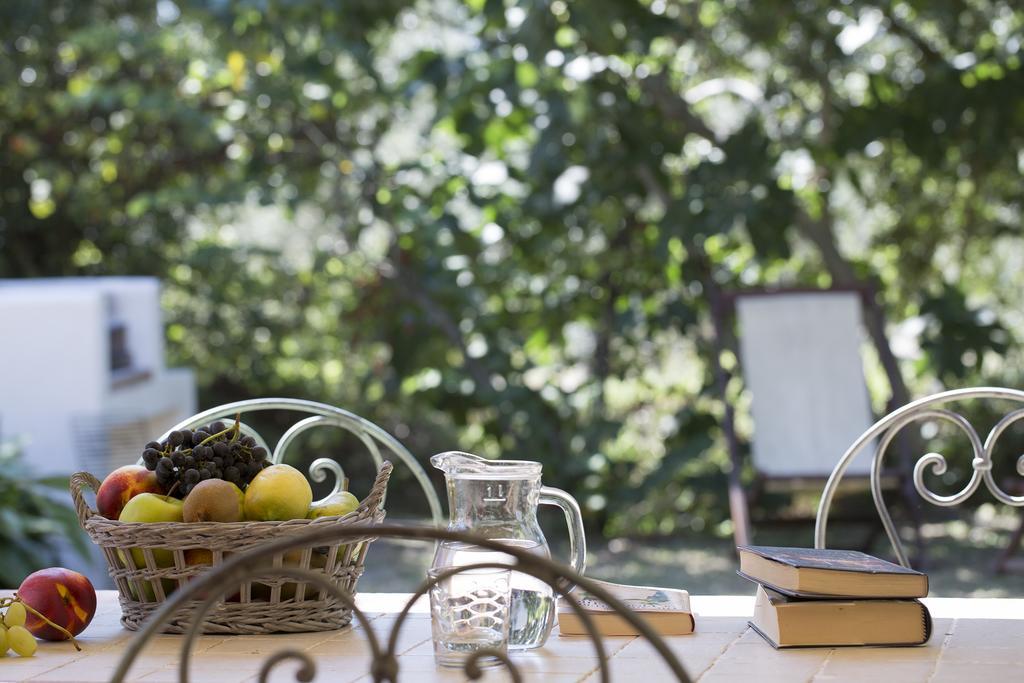 Farm stay Tra Gli Ulivi, Chiappini Winery *